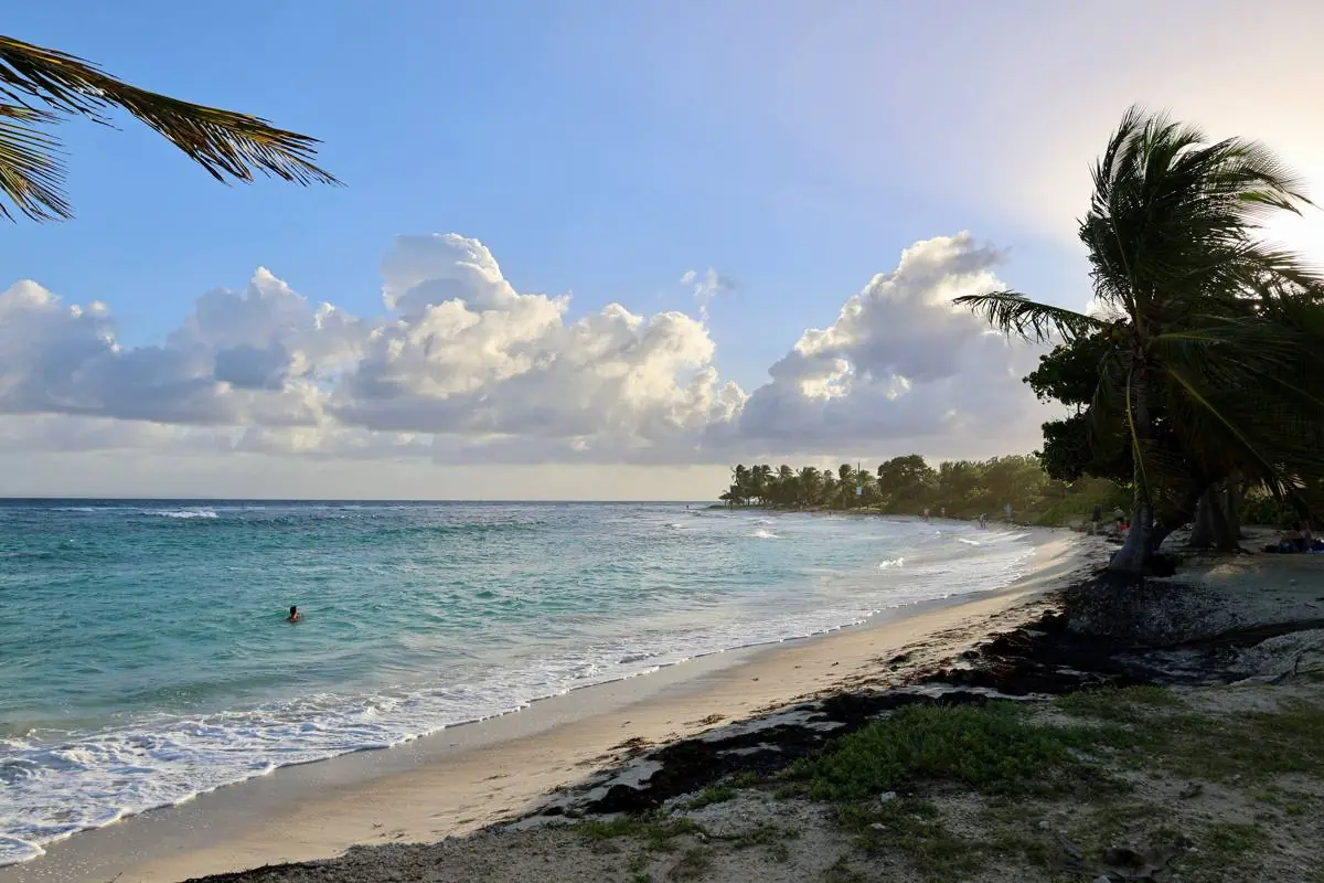Plage de sable près de Saint-François, Guadeloupe